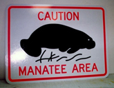 manatee